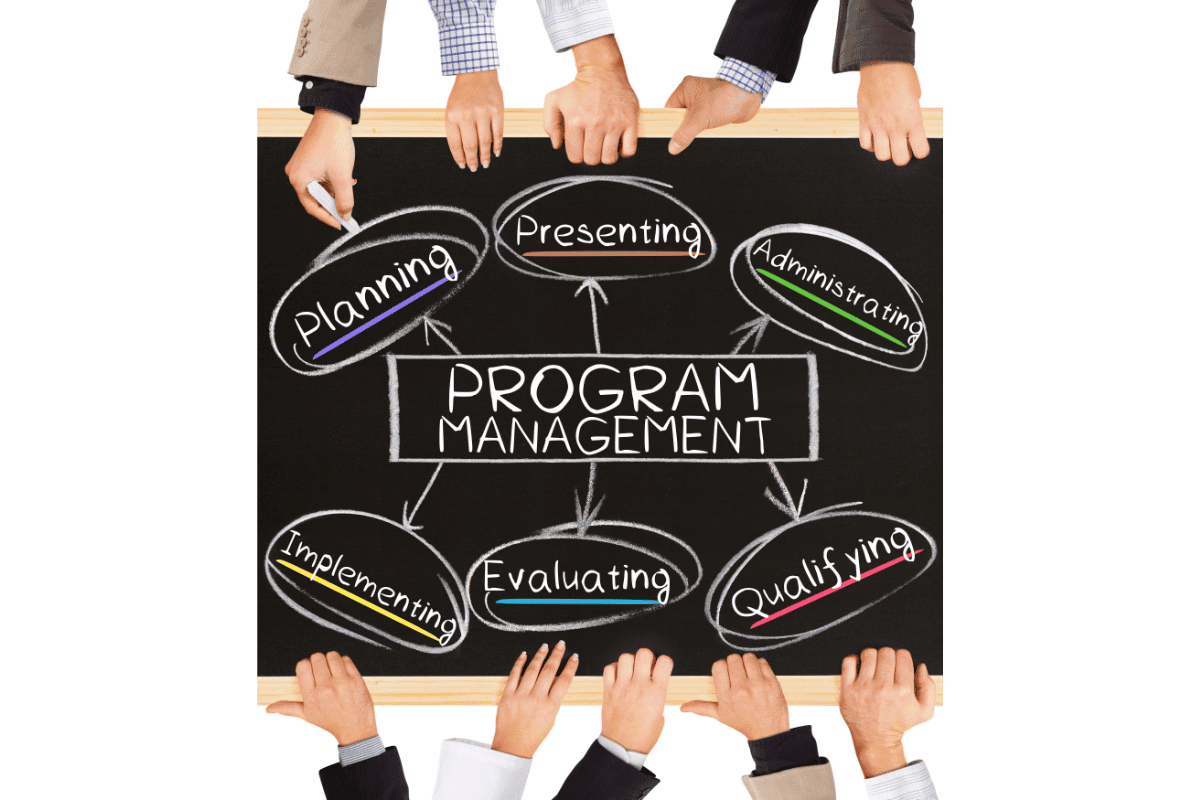 From Project Manager to Program Manager: A Comprehensive Guide to Job ...